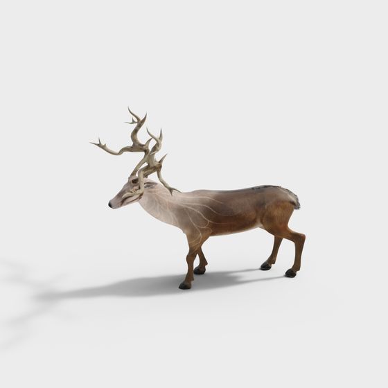Realistic Low-Poly 3D Reindeer Model