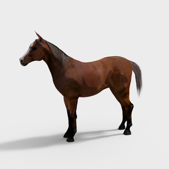 Realistic 3D Horse Model for Designers