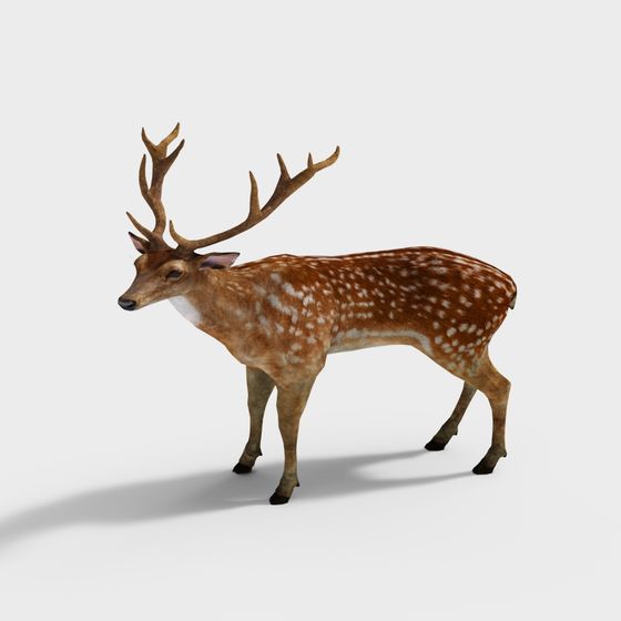 Forest Sentinel 3D model