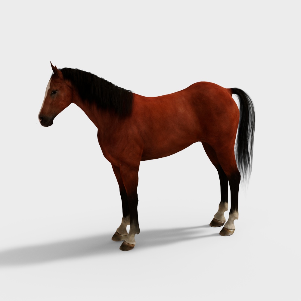 Realistic Brown Horse 3D model