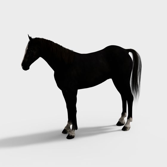 Elegant Black Horse 3D Model