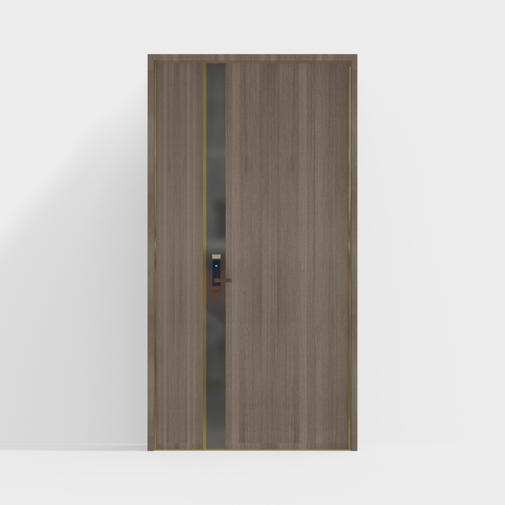 Modern entrance door