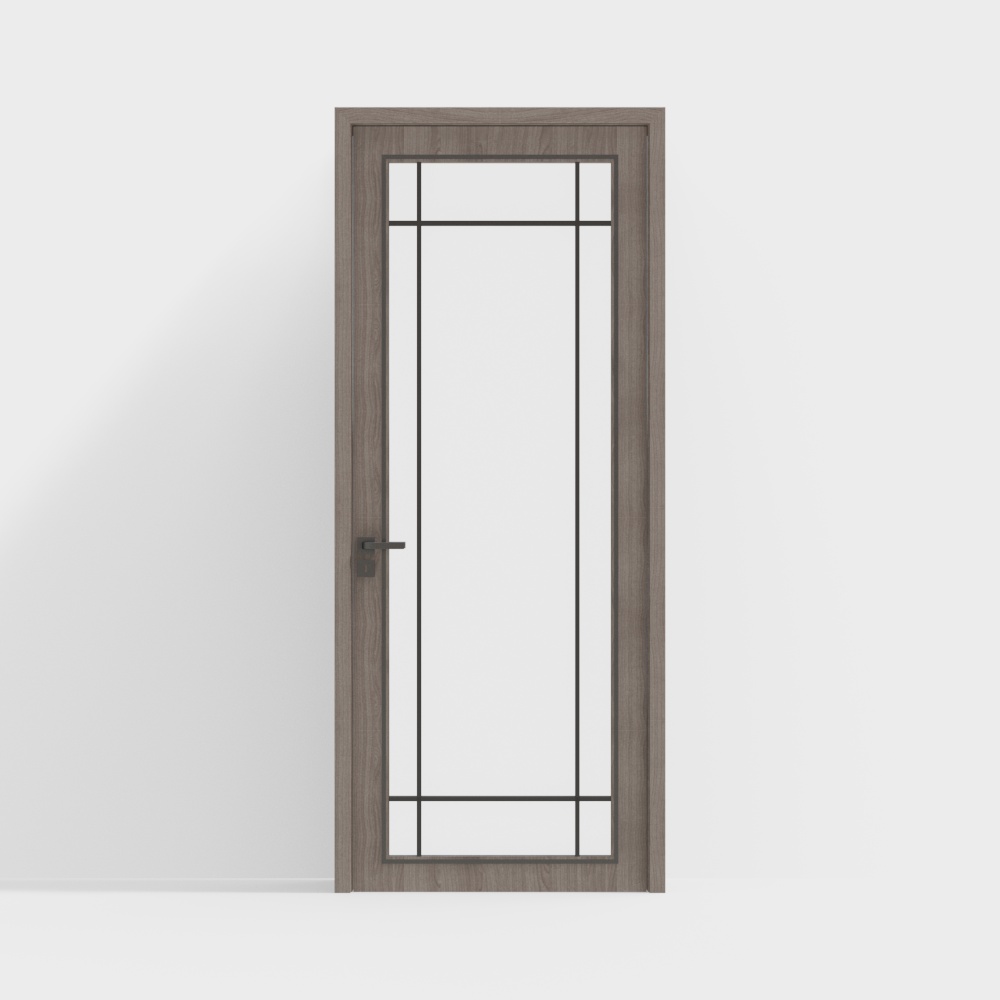 Modern glass single door