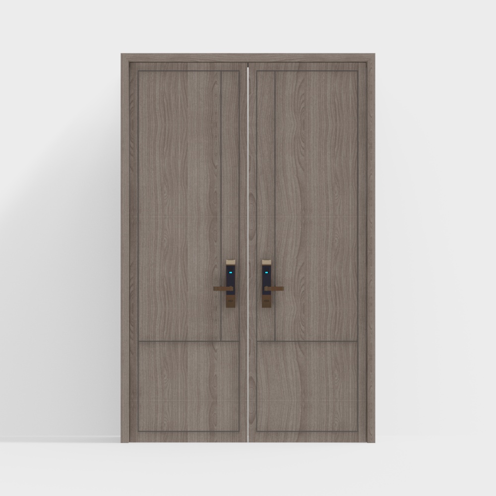 modern double interior doors
