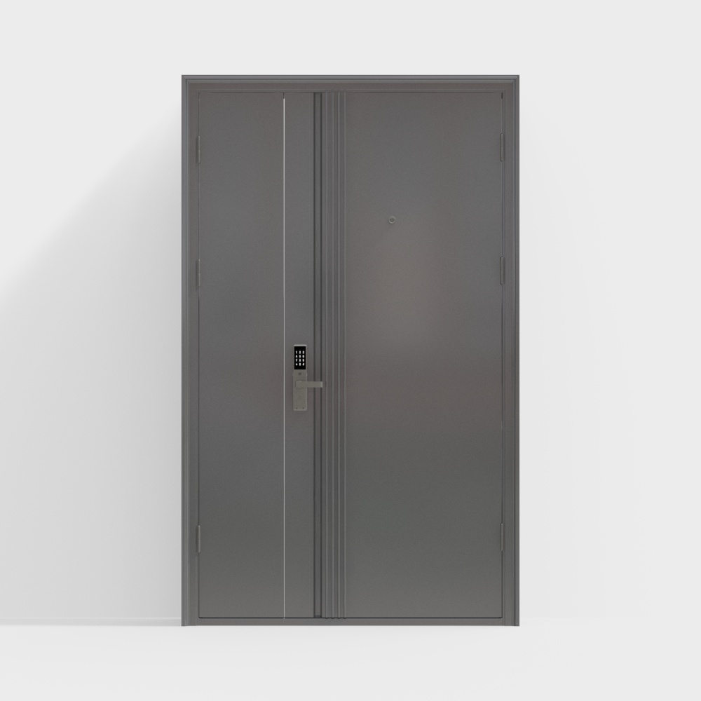 Modern entrance door
