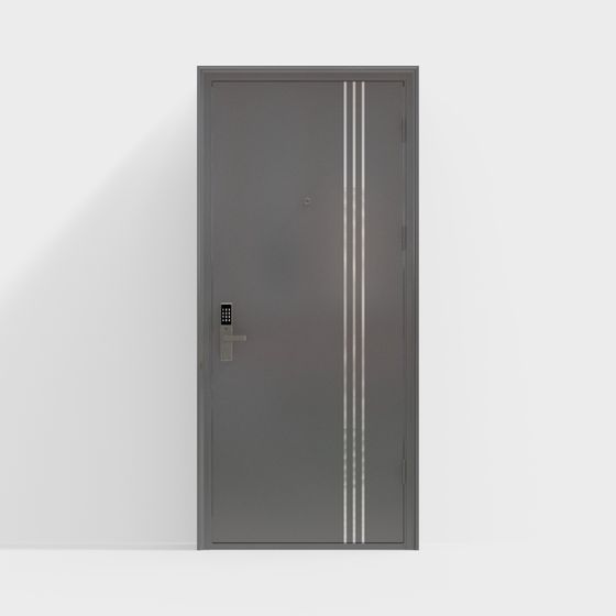 porta di ingresso singola moderna