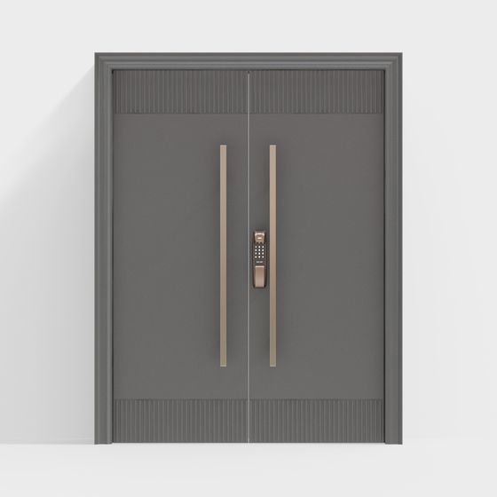 cửa chính hai lớp hiện đại