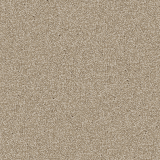 Wall paints/coatings