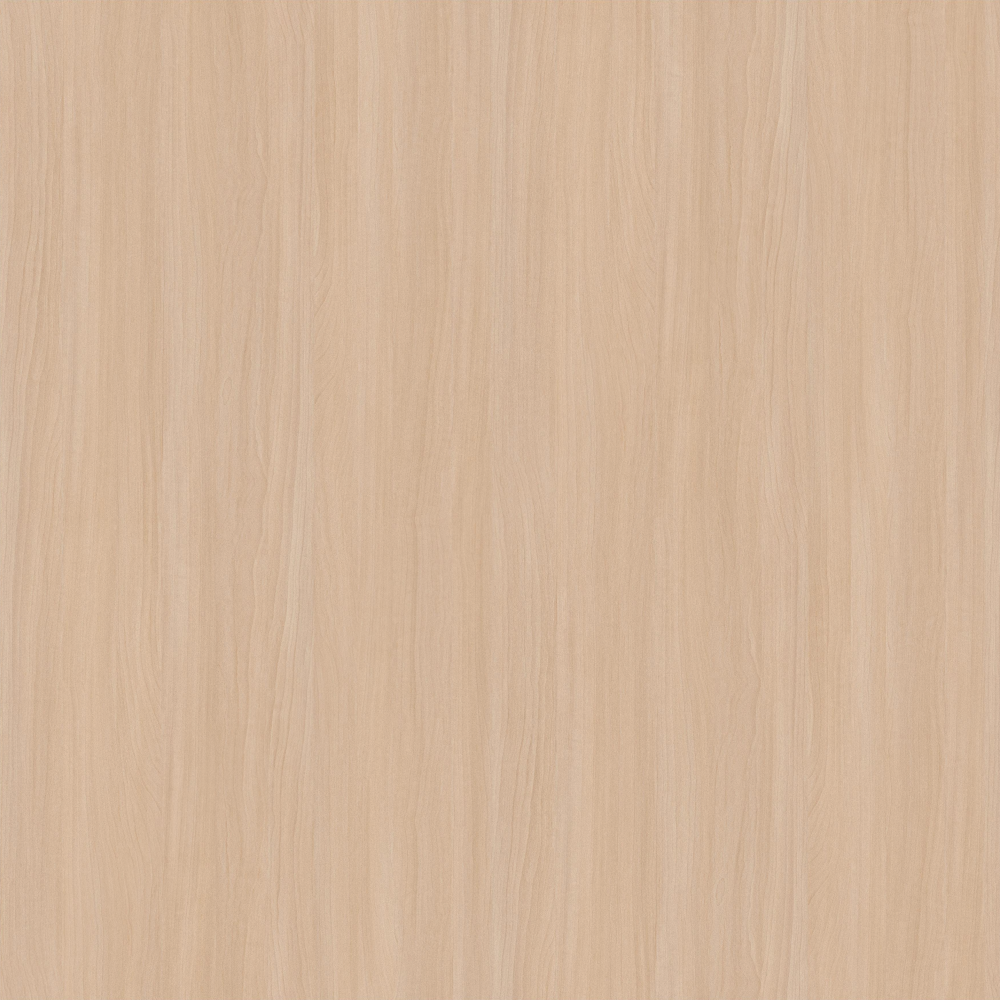 Moon Shadow Eucalyptus (1)