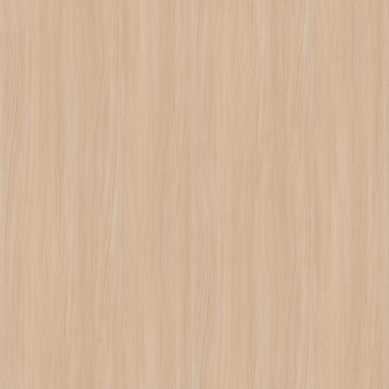 Moon Shadow Eucalyptus (1)