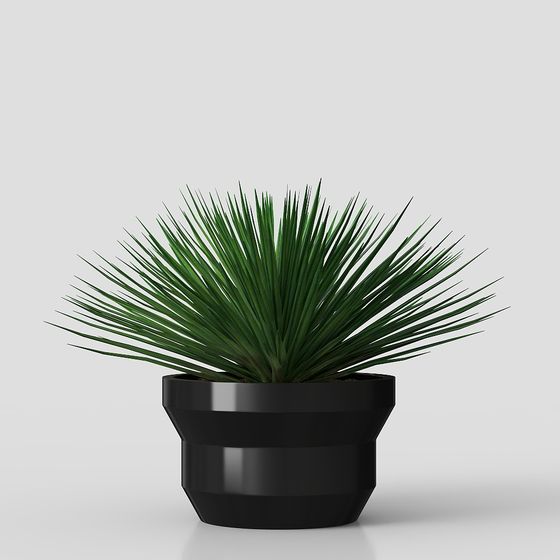 Stylish Potted Plant 3D Model for Modern Interiors