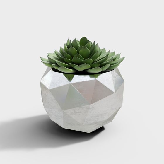 Geometric Planter and Succulent 3D model