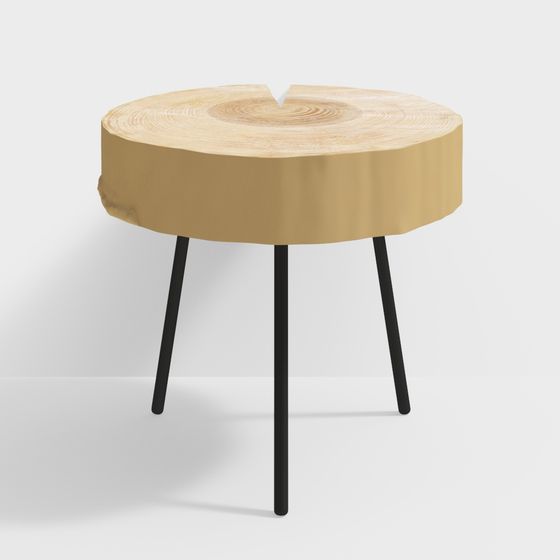 Natural Aesthetic Tree Stump Side Table 3D model