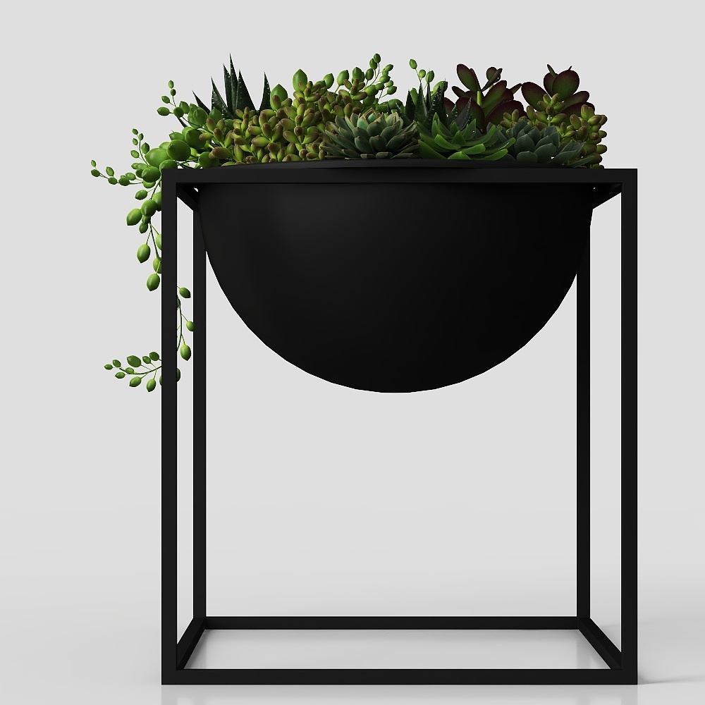 piante verdi in vaso con fiori ed erba