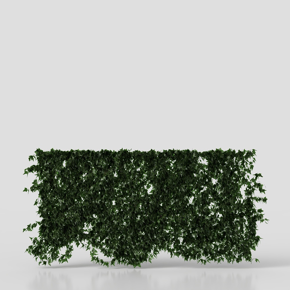 생활 벽 녹색 꽃 잔디