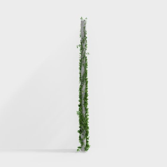 potted green plant flowers grass