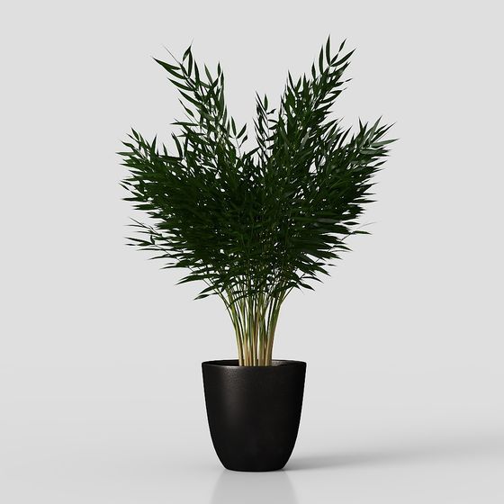 Realistic Bamboo Leaf Potted Plant 3D model