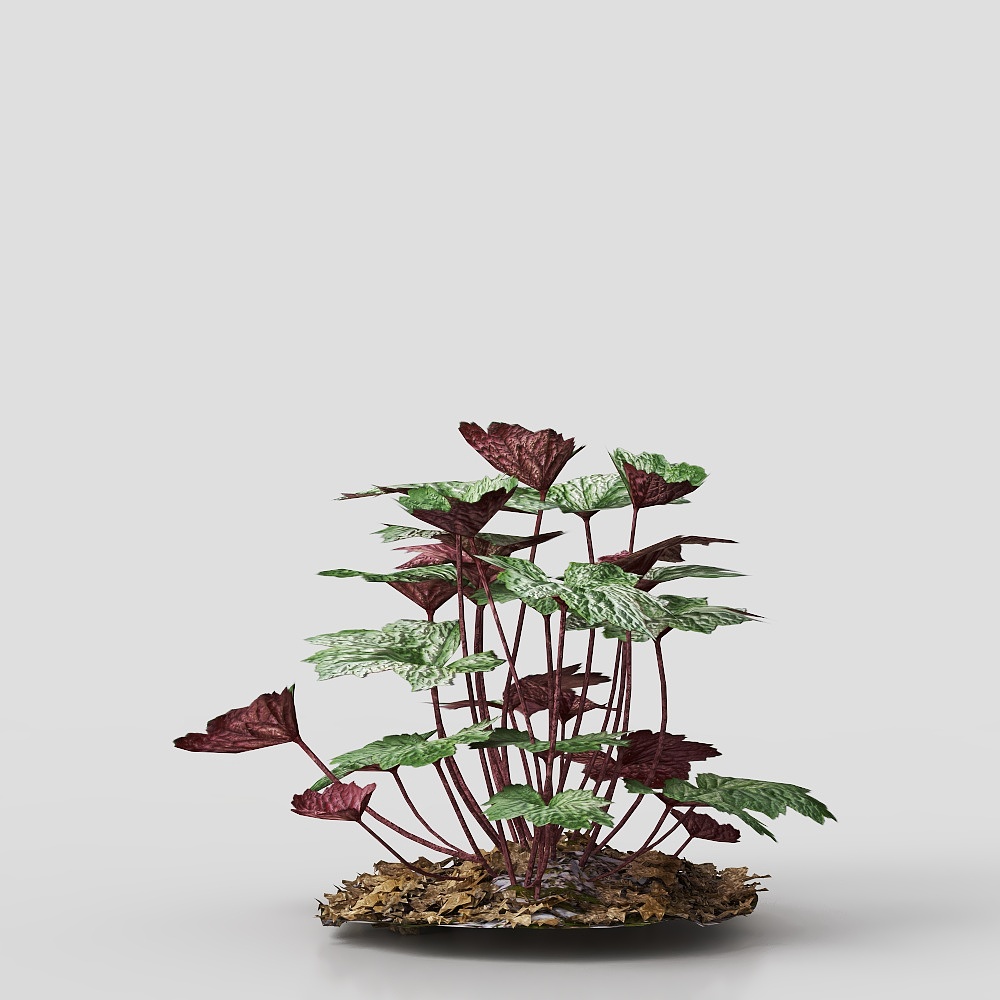 Spirit of the Forest 3D model