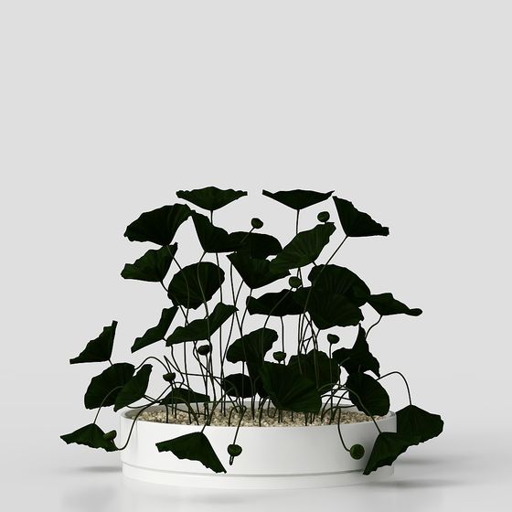Aquatic Plant Pot 3D Model