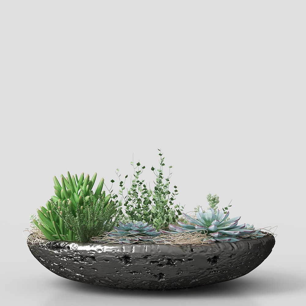 piante verdi in vaso con fiori ed erba