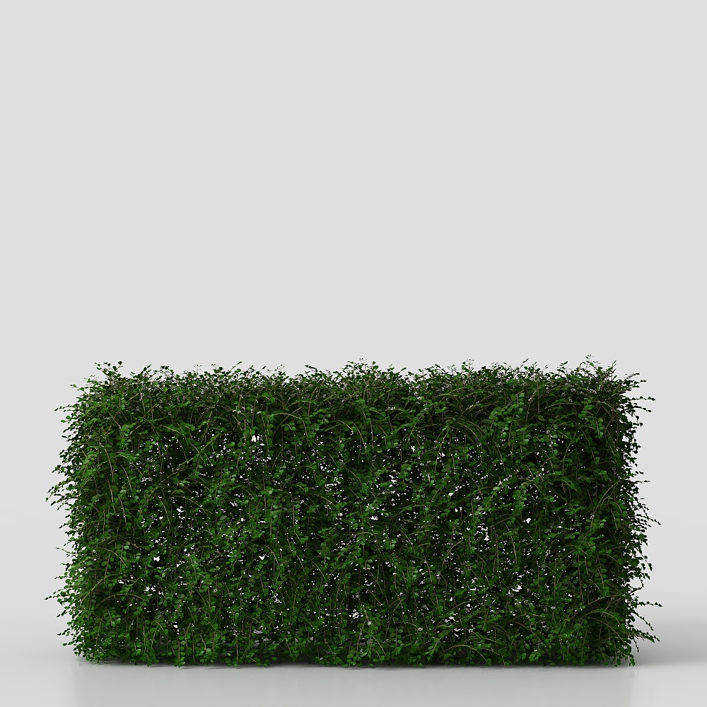 potted green plant flowers grass