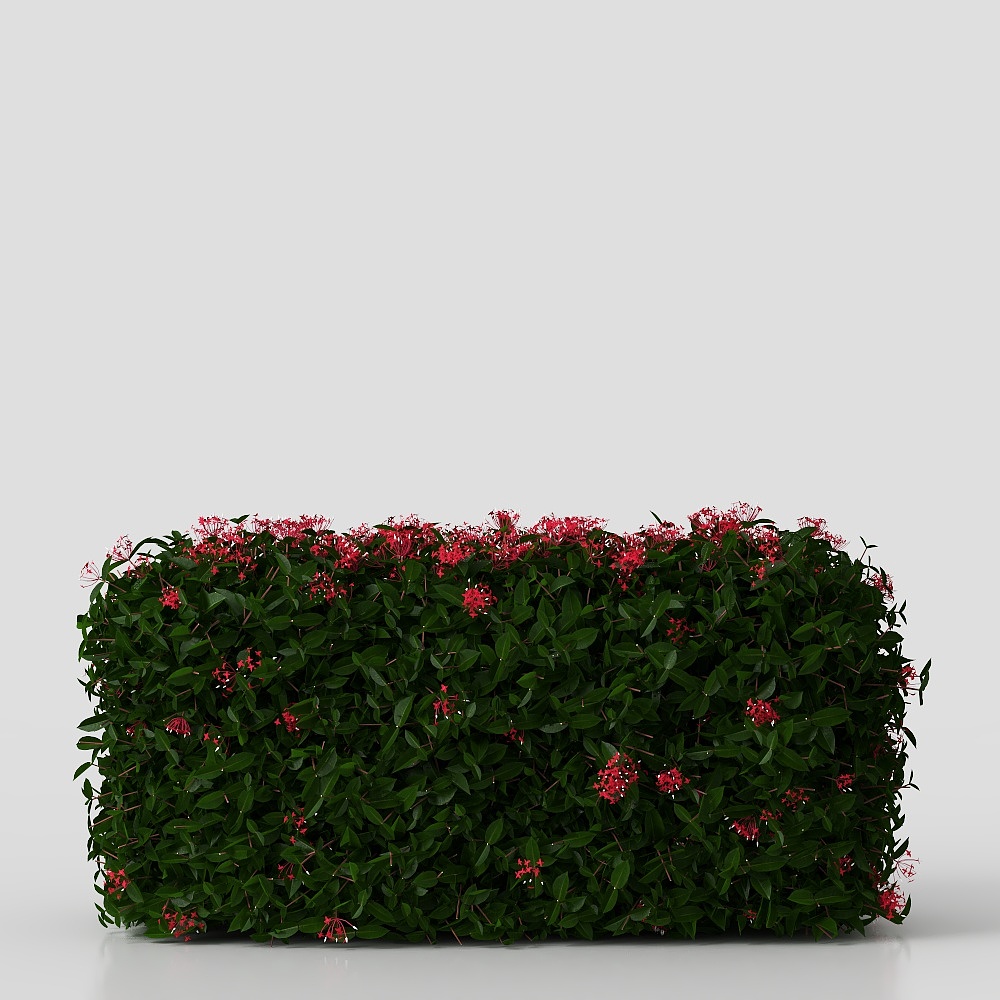 potted green plant flowers grass