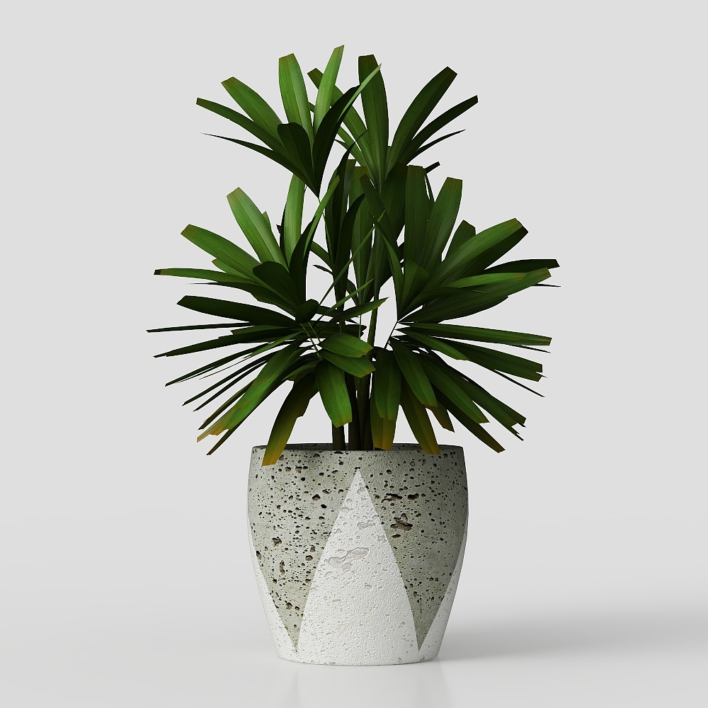 piante verdi in vaso con fiori ed erba