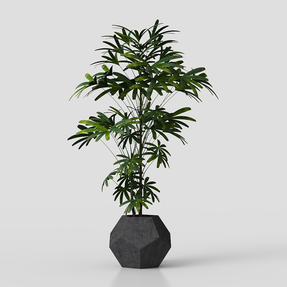 potted green plant flowers grass