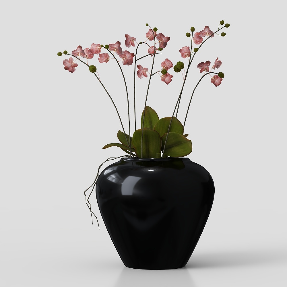Orchid Bloom 3D model