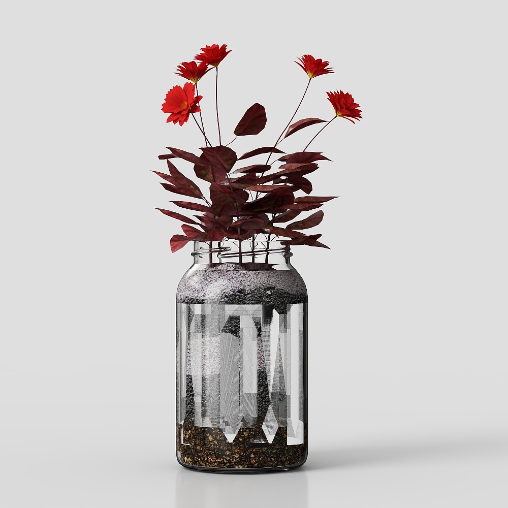 piante verdi in vaso con fiori ed erba