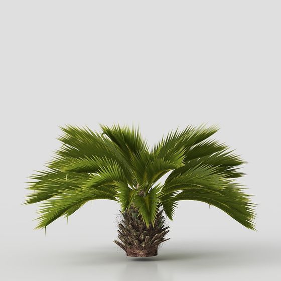 piante verdi in vaso con fiori ed erba