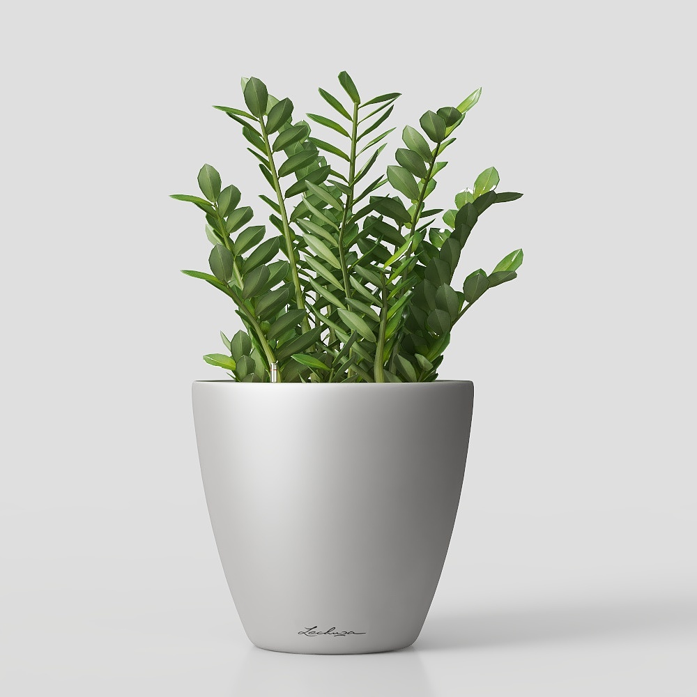 potted green plant flowers grass