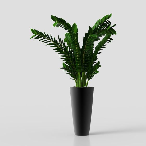 Indoor Green Plant 3D model for Designers and Developers