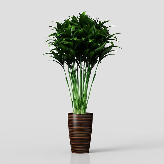 Bamboo Potted Plant 3D Model