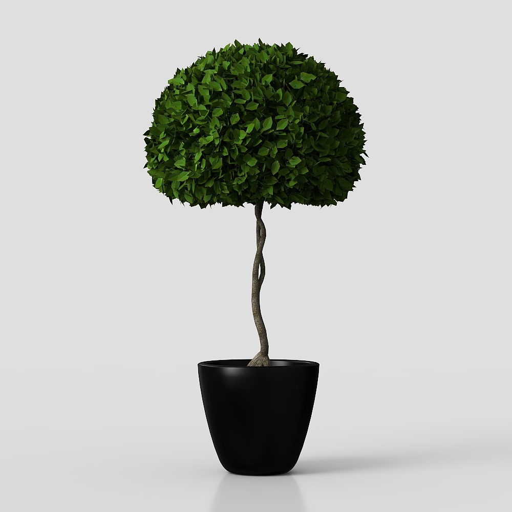 potted green plant flowers grass