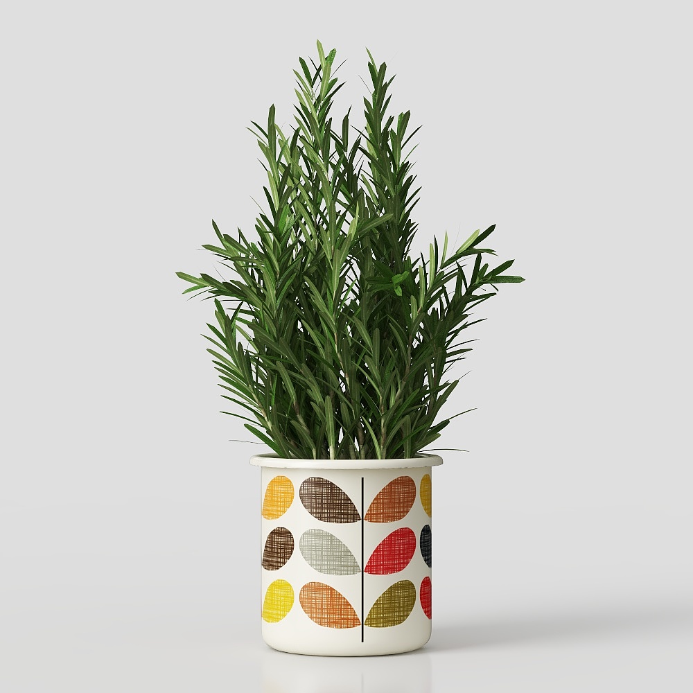 piante verdi in vaso con fiori ed erba