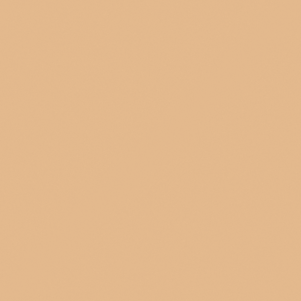 Emulsion paint-matte