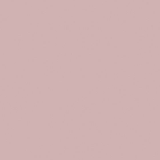 High-Quality Emulsion Paint – Matte Earth Tone 3D Model