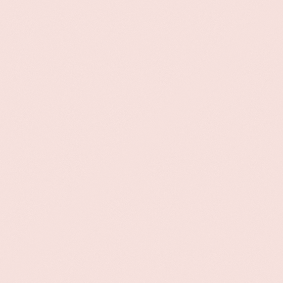 Pink High Gloss Emulsion Paint 3D Model