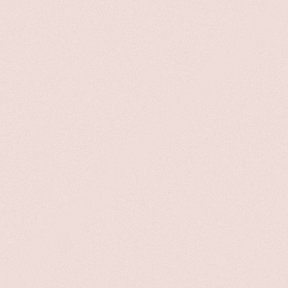 Emulsion paint-High Gloss