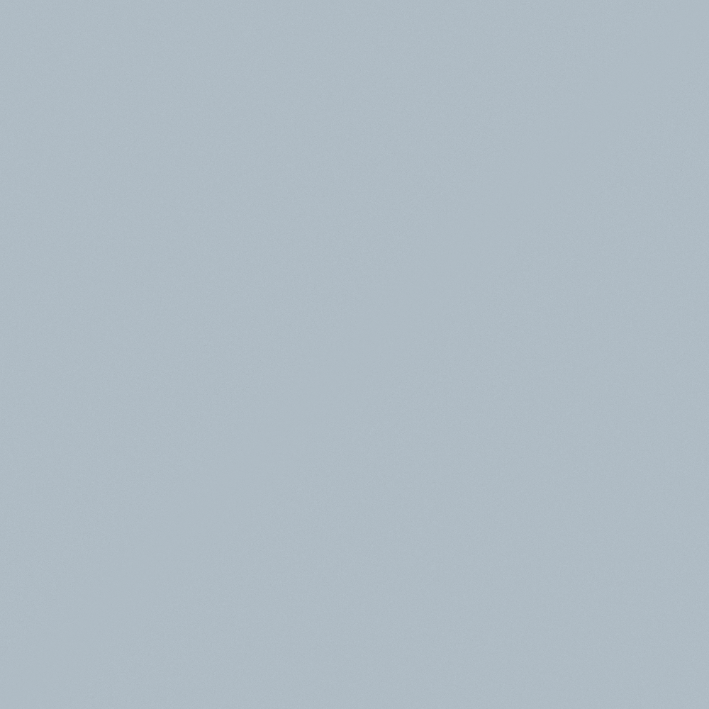 Emulsion paint-matte