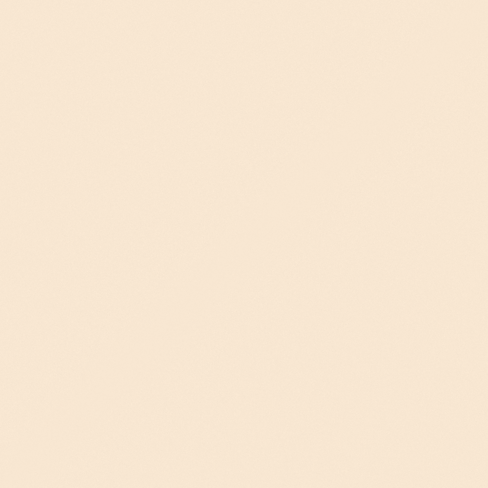 Emulsion paint-matte