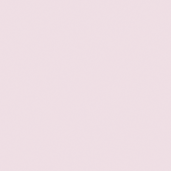 Pink Emulsion Paint Matte 3D Model