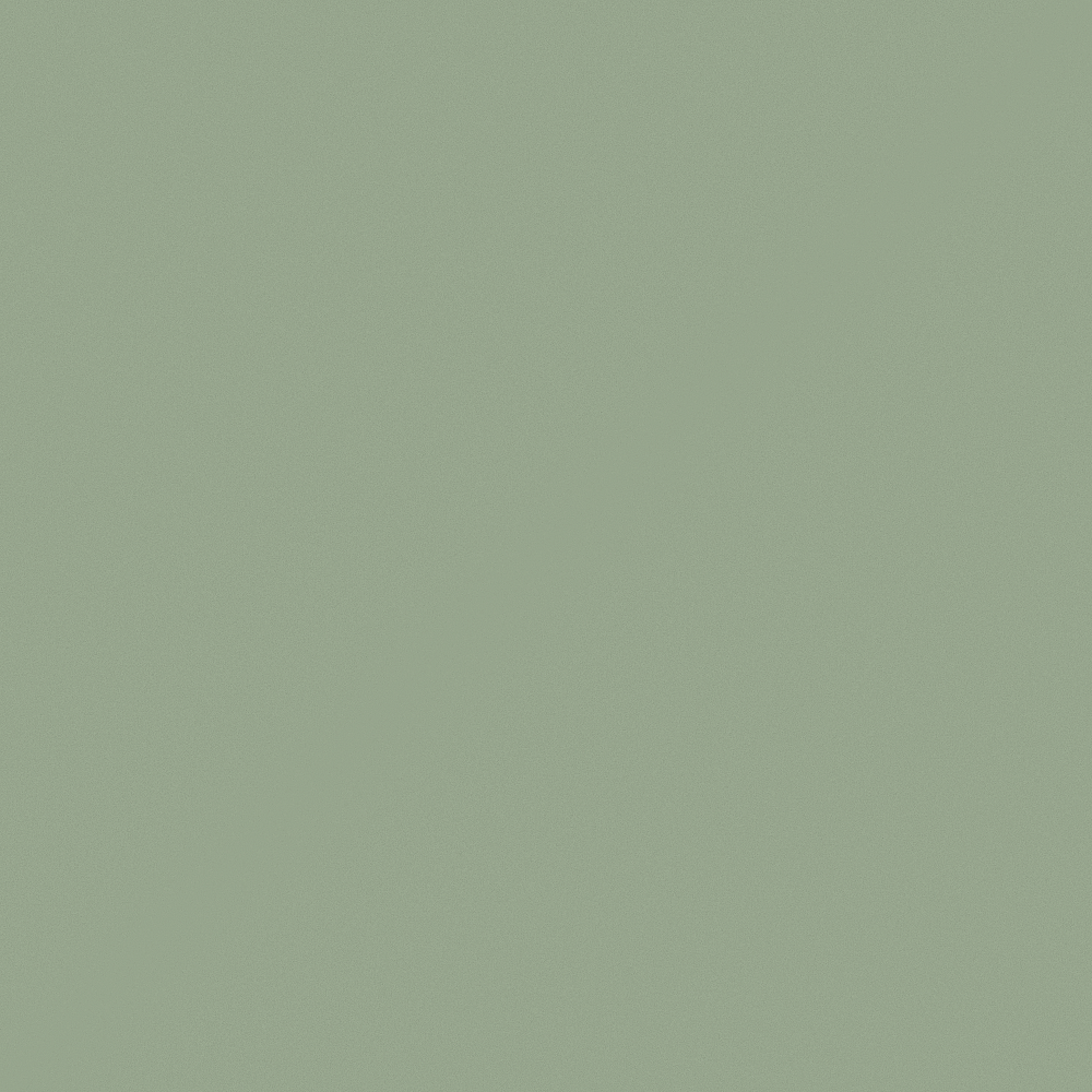Latex Paint-matte-grey bean green