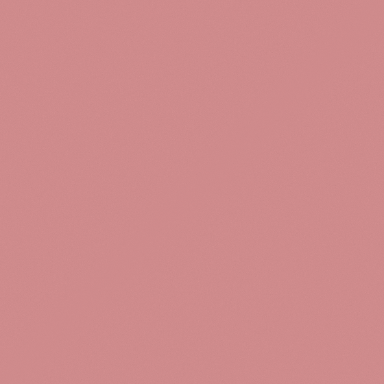 Matte Brown Emulsion Paint 3D Model