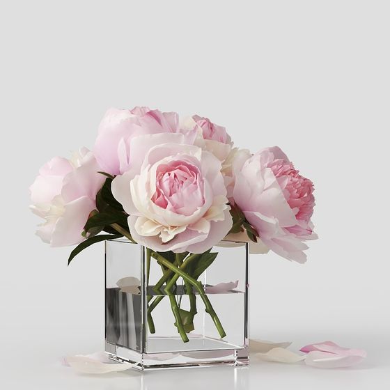 đồ trang trí chậu hoa cây cỏ