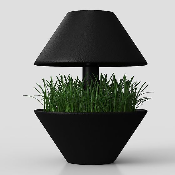 Natural Light Table Lamp 3D model
