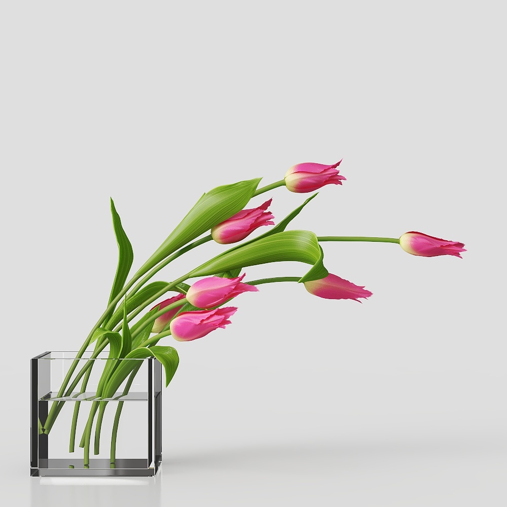 decorazione in vaso di fiori piante erba