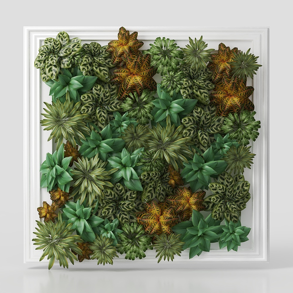 flowers plant wall grass decoration