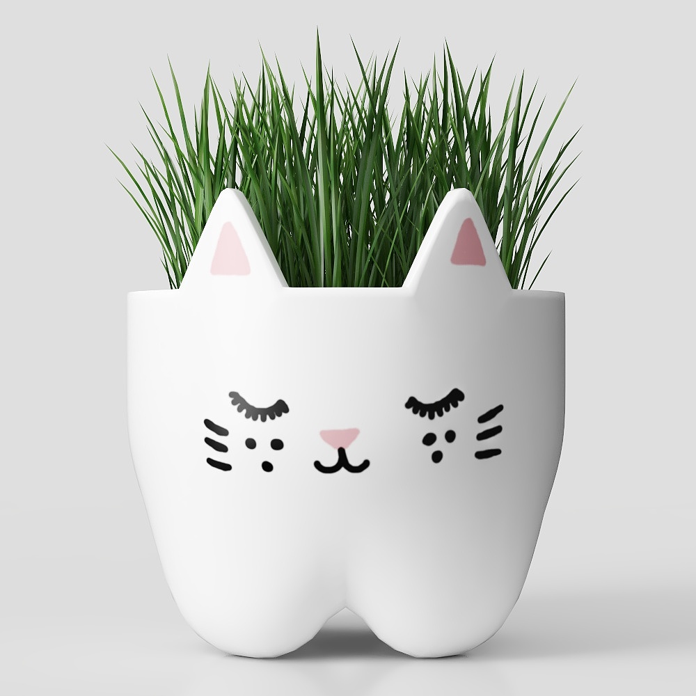 decorazione in vaso di fiori piante erba